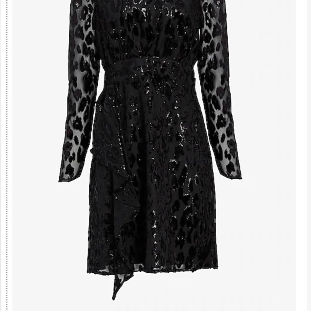 Velvet Burnout Ruffle Dress - Picture 3 of 7
